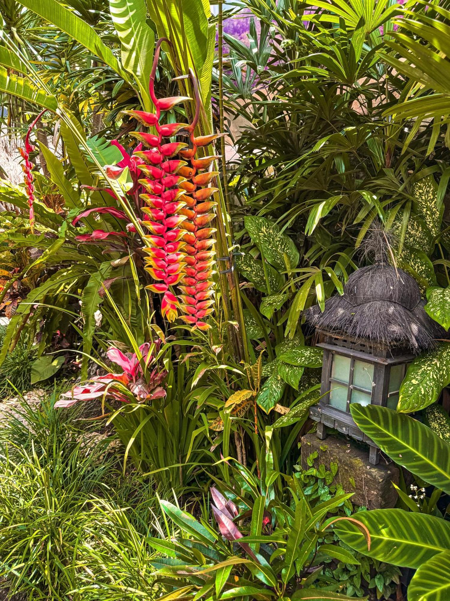 Bali Maison Ubud  Exterior photo